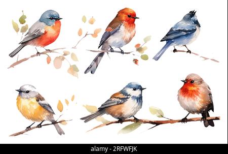 watercolor set vector illustraton of bird on a branch isolated on white background Stock Vector