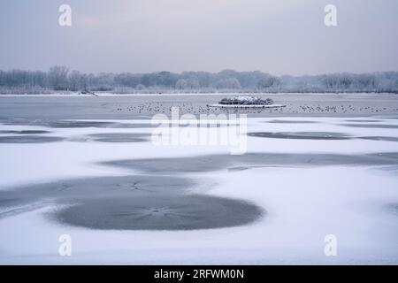 Ice patterns on Dernford Farm reservoir, Sawston, Cambridgeshire. Cold winter scene. Stock Photo