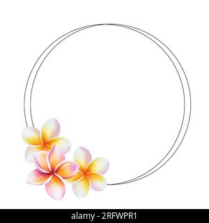 Watercolor frame realistic tropical illustration of plumeria flowers with leaves isolated on white background. Beautiful botanical hand painted frangi Stock Photo