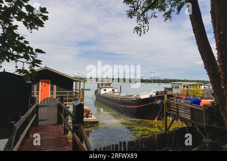 House boats converted  into permanent dwellings from  working barges  at Pin Mill , beautiful Suffolk coastal hamlet ,River Orwell , Suffolk England Stock Photo