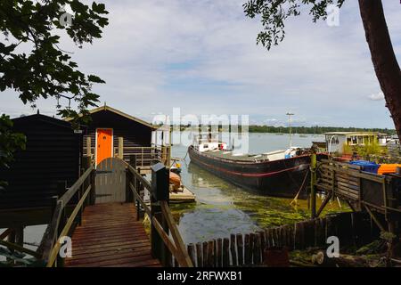 House boats converted  into permanent dwellings from  working barges  at Pin Mill , beautiful Suffolk coastal hamlet ,River Orwell , Suffolk England Stock Photo