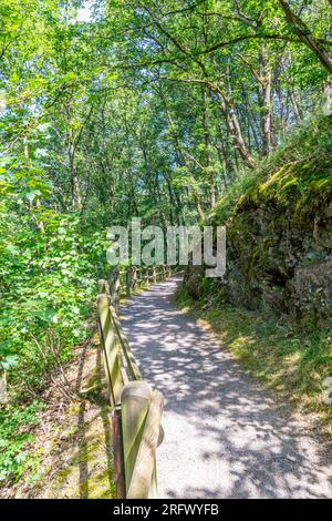 Hiking trail in the Stausee Bitburg lakeside circuit between rocky slope and a wooden fence, surrounded by abundant wild vegetation and trees with gre Stock Photo