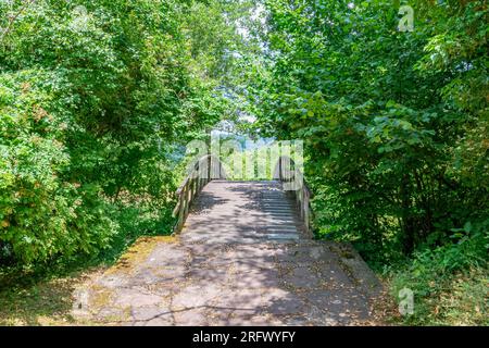 Stone path leading to a wooden arch bridge among foliage of green leafy trees, misty background, sunny spring day in nature reserve at Echternach, Lux Stock Photo