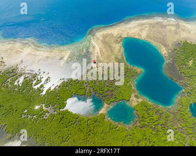 Beautiful mangroves and lagoons. Transparent turquoise water atoll ...