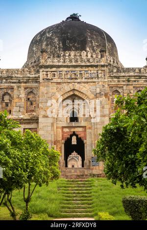 India, Delhi, Lodi Gardens, Sheesh Gumbad Tomb, steps Stock Photo