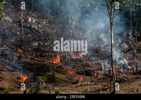 Bogor, Indonesia - August 05, 2023: Farmers are using the ancient method of slash and burn to clear their agricultural land in Bogor, West Java Stock Photo