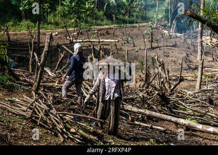 Bogor, Indonesia - August 05, 2023: Farmers are using the ancient method of slash and burn to clear their agricultural land in Bogor, West Java Stock Photo