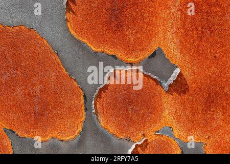 Bright rust on a corroded surface. Rusty peeling spots. Abstract background Stock Photo
