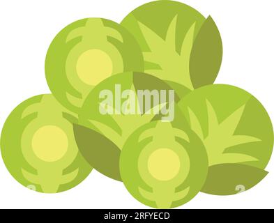 Brussels sprouts vegetable icon Stock Vector