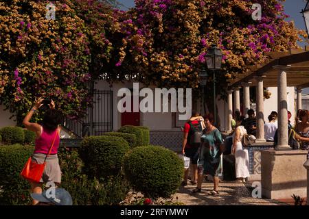 Strolling the charming streets of Lisbon, where every corner unveils architectural wonders and iconic attractions, capturing the city's vibrant essenc Stock Photo