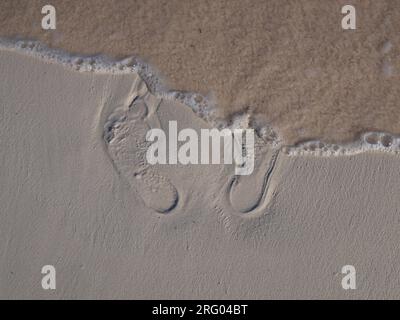 Foot prints in a sand on a beach. Stock Photo