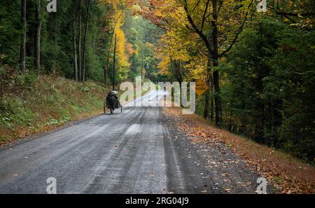 Mennonite in Horse and buggy on dirt road Stock Photo