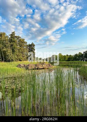 Lake in popular "Britzer garden" (Britzer Garten), Berlin Germany