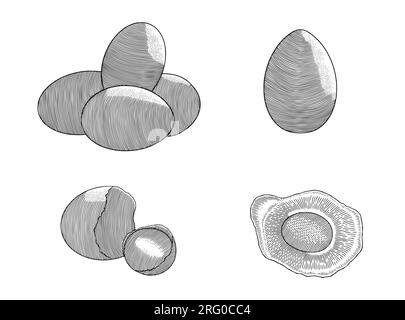 Chicken egg, scrambled, and crack, vintage engraving style drawing vector illustration Stock Vector