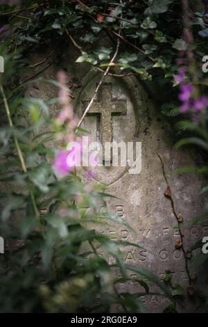 Overgrown old grave at the Old Cemetery on the Common in Southampton, England, UK Stock Photo