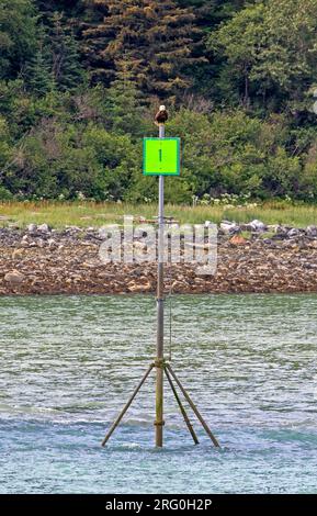 Bald eagle perched atop a channel marker Stock Photo