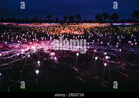 Field of Light display at night with Uluru unseen beyond. The exhibition with waving spindles of light is the work of British artist Bruce Munro. It c Stock Photo