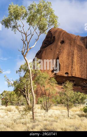 Pulari (headland) of Uluru from the track from Kuniya carpark to Mutiitjulu waterhole. Uluru-Kata Tjuta National Park, Northern Territory, Australia Stock Photo