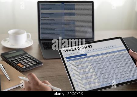 business financial Spreadsheet Document Information Data Analyst Statistics Spreadsheet On Computer: Datum Chart Budget planning and billing Stock Photo