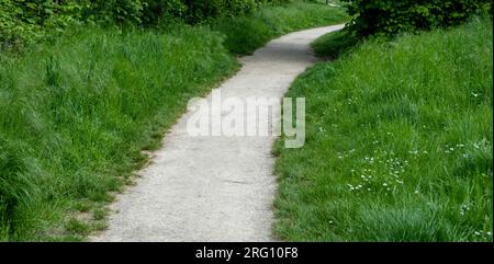 Winding gravel path through grassy field Stock Photo