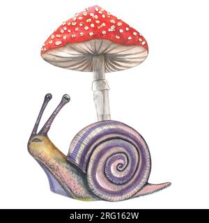 Watercolor illustration of snail and fly agaric. Composition made by hand isolated on white background Stock Photo