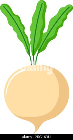 Funny cartoon turnip. Cute vegetable. Vector food illustration isolated on white background. Stock Vector