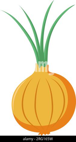 Funny cartoon onion. Cute vegetable. Vector food illustration isolated on white background. Stock Vector