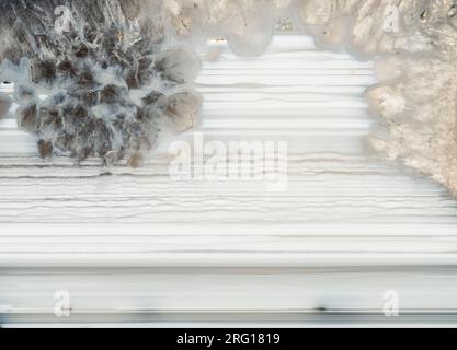 Linear patterns in a thunderegg agate from Oregon Stock Photo