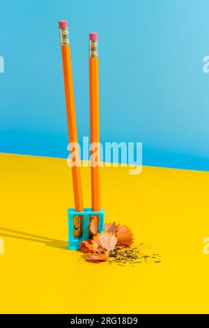 Pencils with eraser in plastic sharpener placed on yellow table near shavings against blue wall Stock Photo