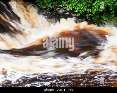 Stained Rivers Peat stained flood waters in the River Ribble at Stainforth Force above ...