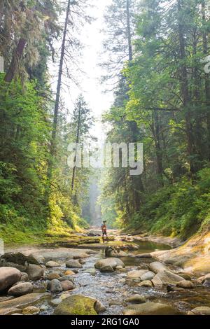 Biologist conducts a riparian biodiversity survey Stock Photo