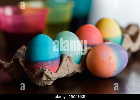 Close up of dyed Easter eggs in bright colors drying  on a carton. Stock Photo