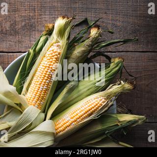 Bowl of corn on the cob in the husk on a rustic wooden table. Stock Photo