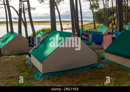 Tents in campsite, Camping Islas Cies, Isla del Faro, Cies Islands, Galicia, Spain Stock Photo