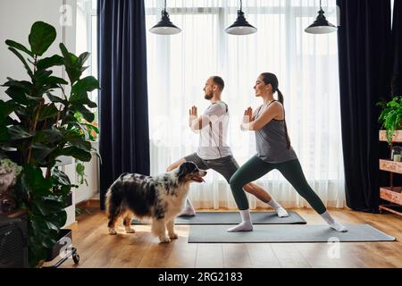 Side view of smiling couple standing in yoga pose on fitness mats near border collie at home Stock Photo