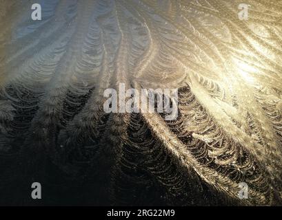 Frost on window Stock Photo