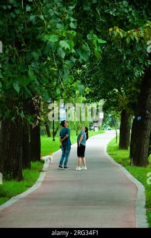 Couple and a dog walking in a nature staring at the trees Stock Photo