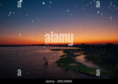 Thousand of insects flying over the Chobe River at sunset. Chobe River, Chobe National Park, Kasane, Botswana. Stock Photo