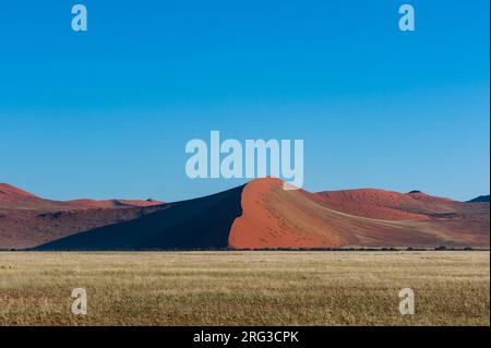 An aerial view of sand dunes in Namib desert. An aerial view of red sand dunes in the Namib desert. Namib Naukluft Park, Namib Desert, Namibia. Stock Photo