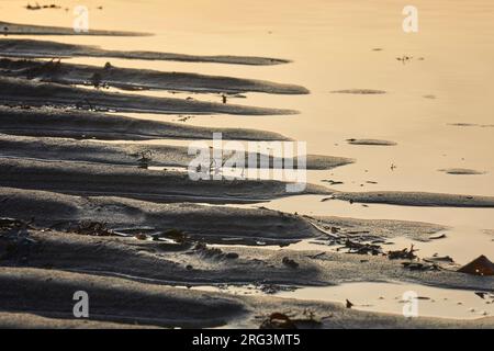 Back-lit rippled sand, lit by a low sun, just before sunset; at Hartland Quay, Hartland, on the Atlantic coast of Devon, Great Britain. Stock Photo