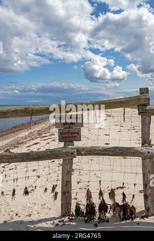 Fence in front of nature reserve, Maasholm, Schleswig-Holstein, Germany Stock Photo