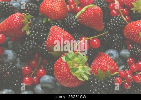 Blackberry, raspberry, blueberry,  red currant as a background. Top view. Stock Photo