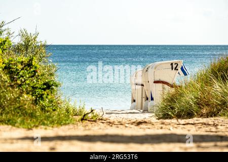 Path down to the Ostsee Stock Photo