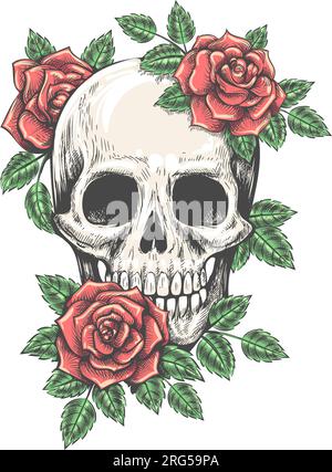 Colorful Tattoo of skull with Rose flower and Dagger isolated on white ...