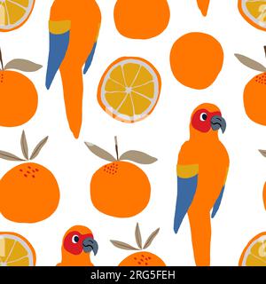 Parrots and oranges pattern on white background. Tropical pattern. Vector illustration Stock Vector
