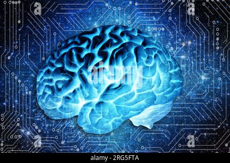 human brain and electronic circuit board Stock Photo