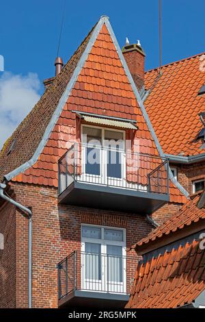 Gable, roof, chimney, seagulls, Sønderborg, Syddanmark, Denmark Stock Photo