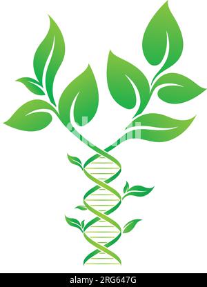 plant dna strand double helix concept icon green isolated on white background vector Stock Vector