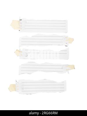 Torn pieces of notebook paper sheets isolated on white background Stock Photo