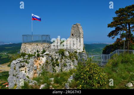View of the ruins of Crni Kal fortress at Karst Edge in Primorska, Slovenia with yellow flowering bush in front Stock Photo